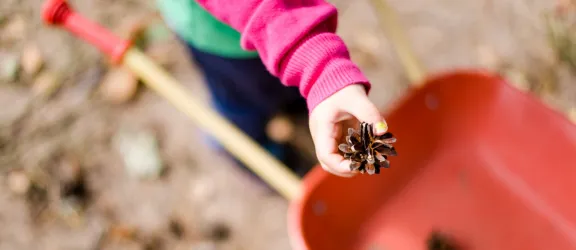 Kind sammelt Zapfen im Garten des Kindergartens