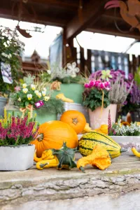 Auhof-Gärtnerei Herbst