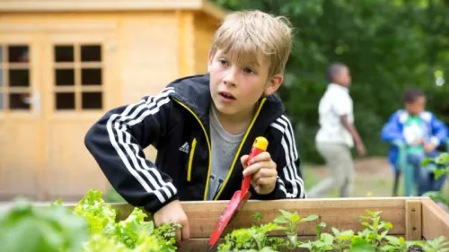 Jonas beim Ernten